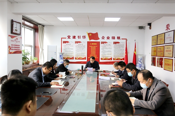 陜西地礦區(qū)研院有限公司召開黨委理論學習中心組學習（擴大）會議學習貫徹黨的二十大精神